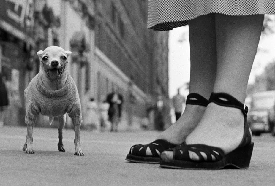 Elliott Erwitt