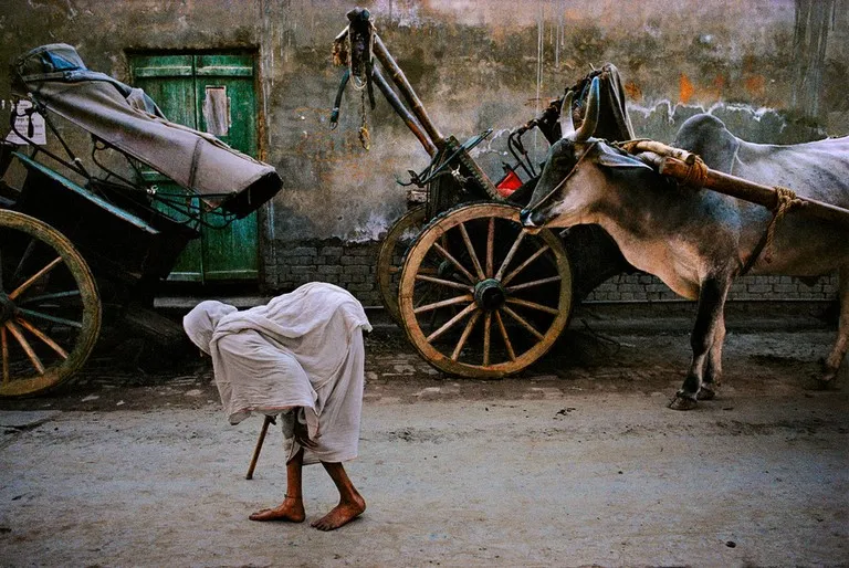 Steve Mc Curry