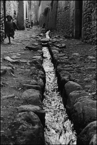 Sergio Larrain