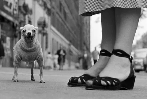 Elliott Erwitt