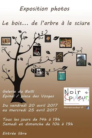 Thème : Le bois...de l'arbre à la sciure Galerie du Bailli Épinal Avril 2017