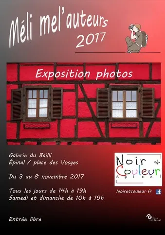 Thème : Méli-Mél'AUTEURS Galerie du Bailli Épinal Novembre 