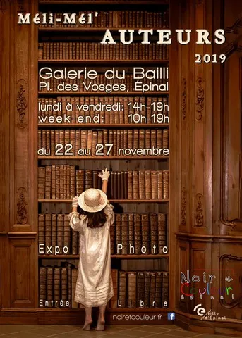 Thème : Méli-Mél'AUTEURS Galerie du Bailli Épinal Novembre 