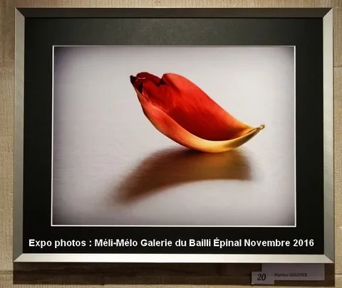 Thème : Méli-Mélo / Galerie du Bailli  Épinal / Novembre 